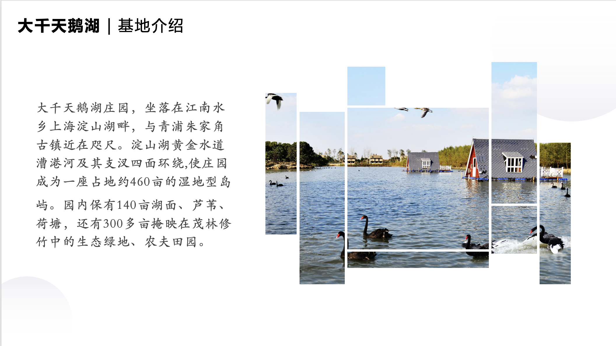 截屏2023-07-06 14.35.25.png